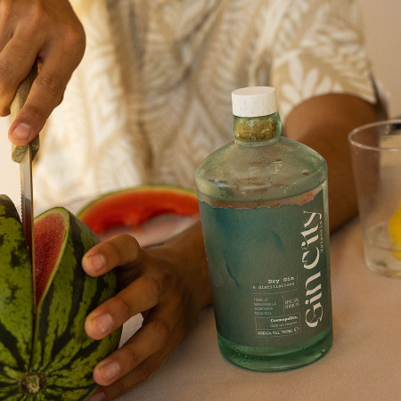 Botella Ginebra Premium GINCITY VALENCIA 70 cl "New Edition"