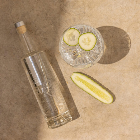 Botella GINCITY OSLO Light Premium 20% Vol. 70 cl