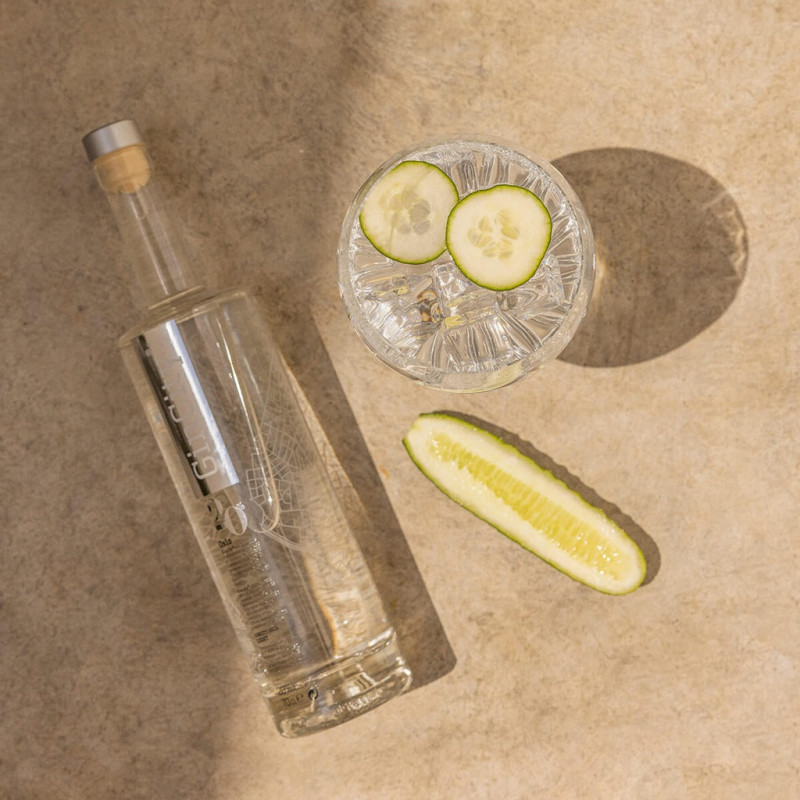 Botella GINCITY OSLO Light Premium 20% Vol. 70 cl