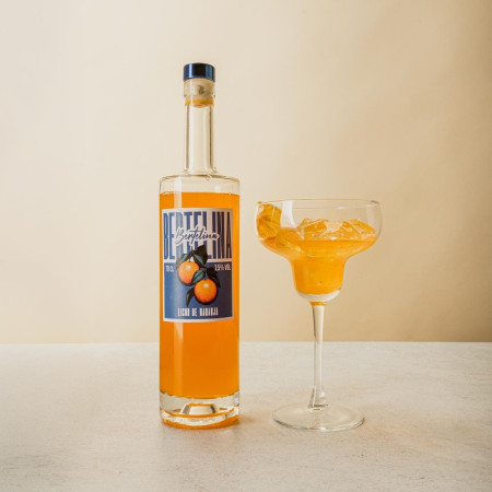 Botella Licor de Naranja BERTELINA 70 cl