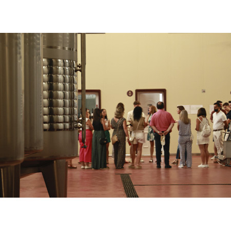 Bodegas Vegamar | Visita y cata en la bodega