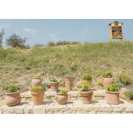 Bodegas Vegamar | Taller de Vermut