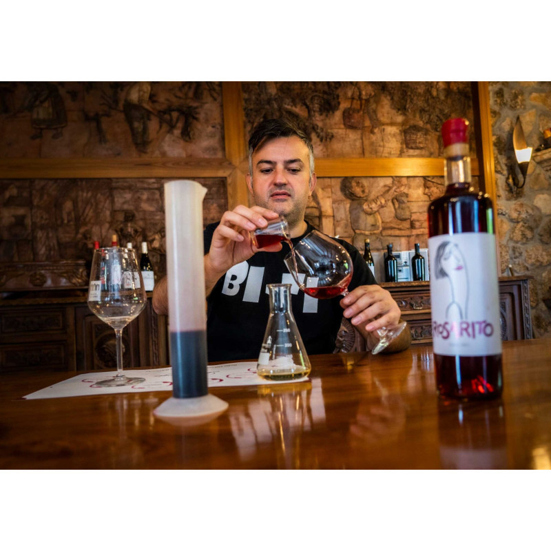 Palacio de Lerma | Elabora tu propio vino