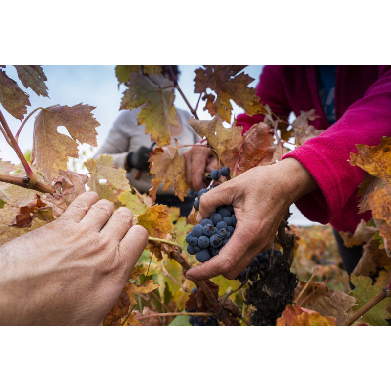 Palacio de Lerma | Talleres de campo
