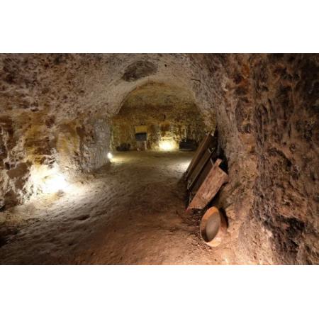 Palacio de Lerma | Radikal wines