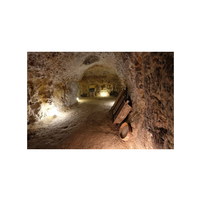 Palacio de Lerma | Radikal wines