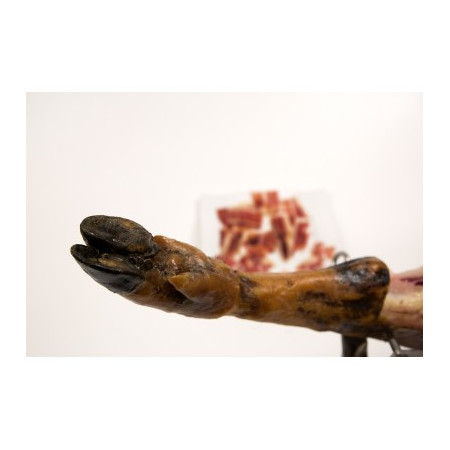 Jamón de Cebo de Campo Ibérico 50% raza ibérica