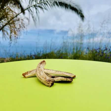 Plátanos deshidratados 250g