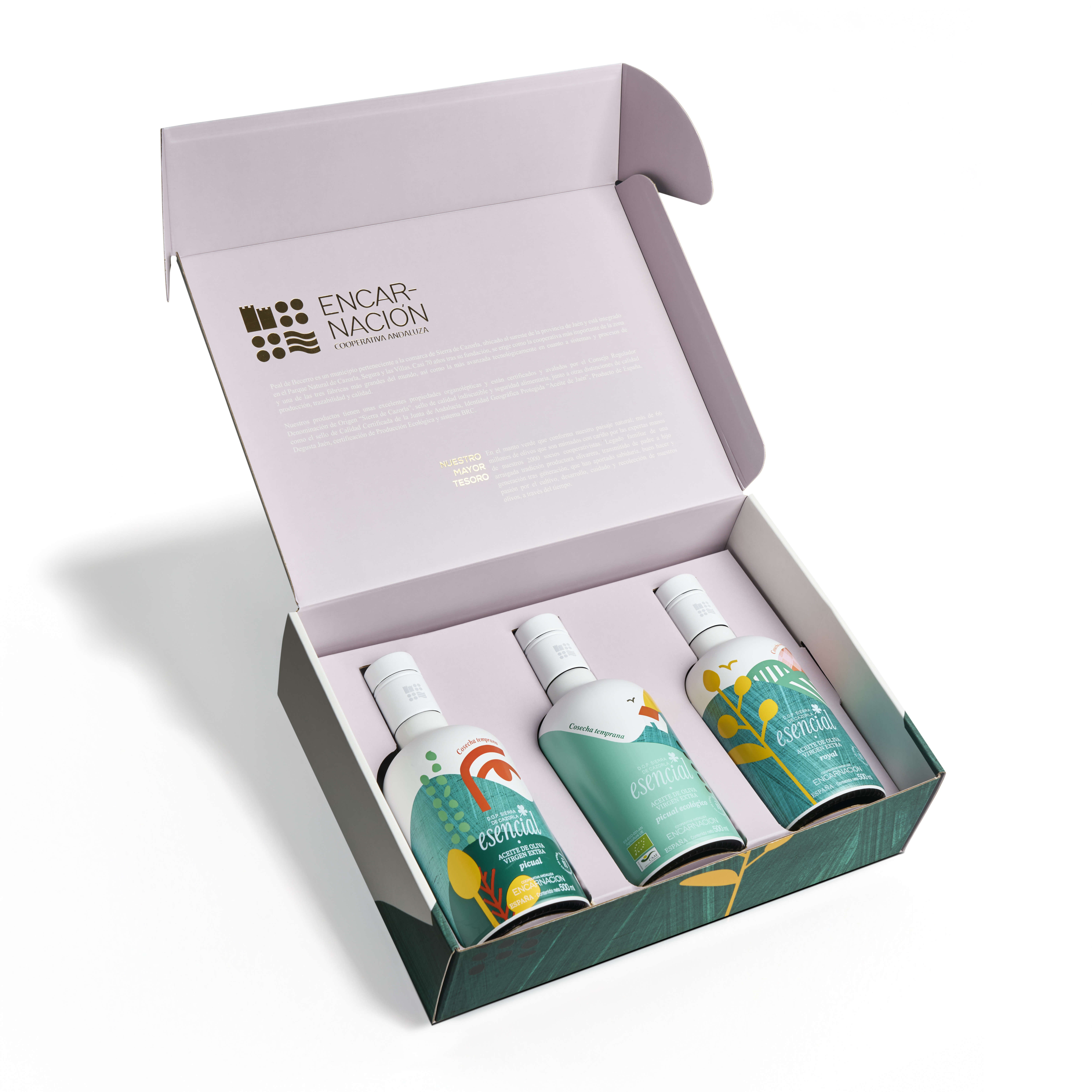 S.C.A. NTRA. SRA. DE LA ENCARNACIÓN